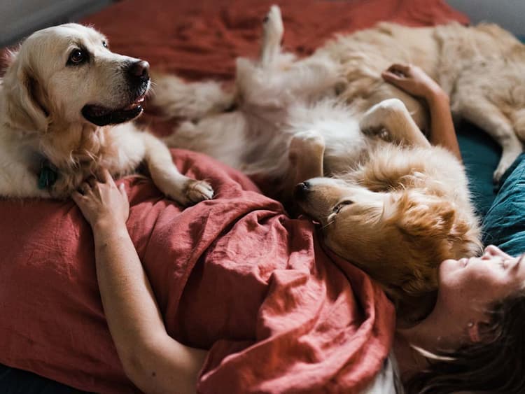 13 Reasons You Should Let Your Dog Sleep in Your Bed
