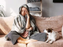 Can Dogs Get the Flu from Humans?