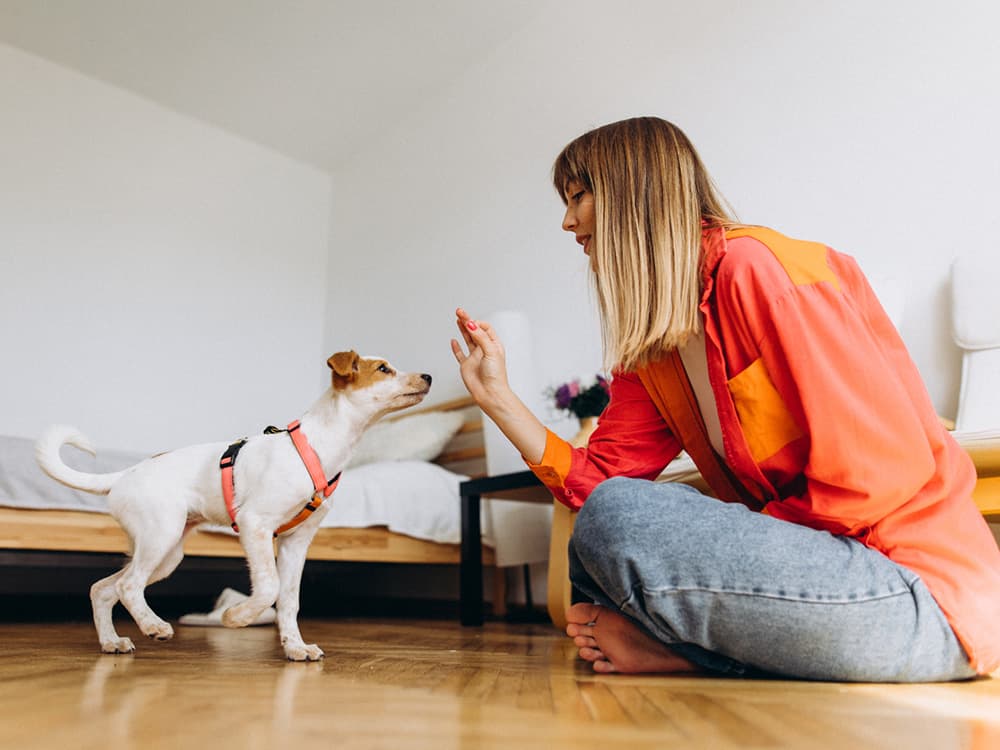 5 Important Puppy Behavioral Milestones to Keep Track Of