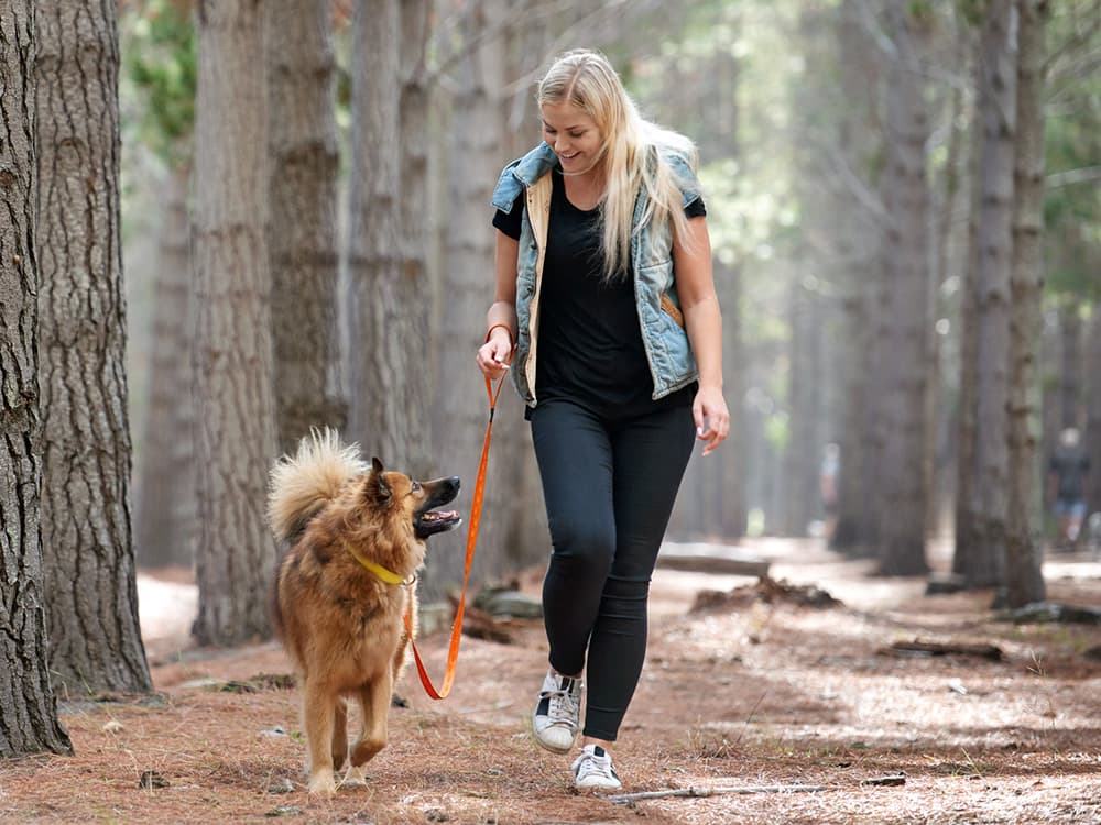 8 Dog Hiking Services That’ll Take Your Pup on a Nature Adventure For You