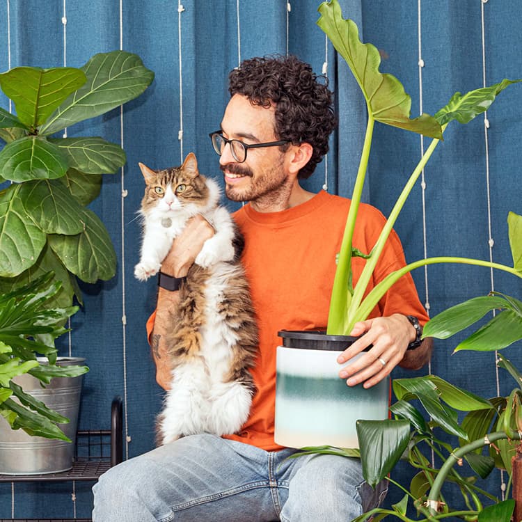 12 Ways to Tell That Your Cat Is Happy