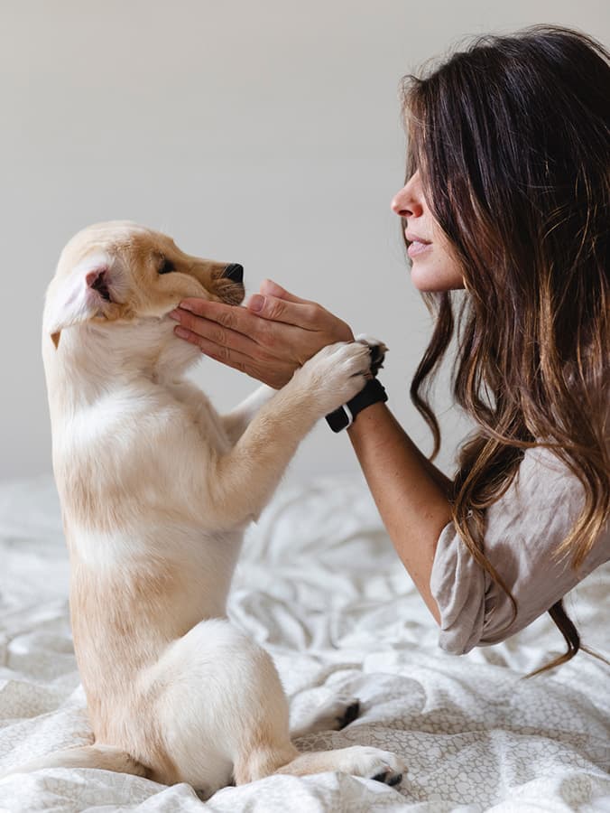 Can Puppies Lose Their Teeth? Baby Teeth In Puppies