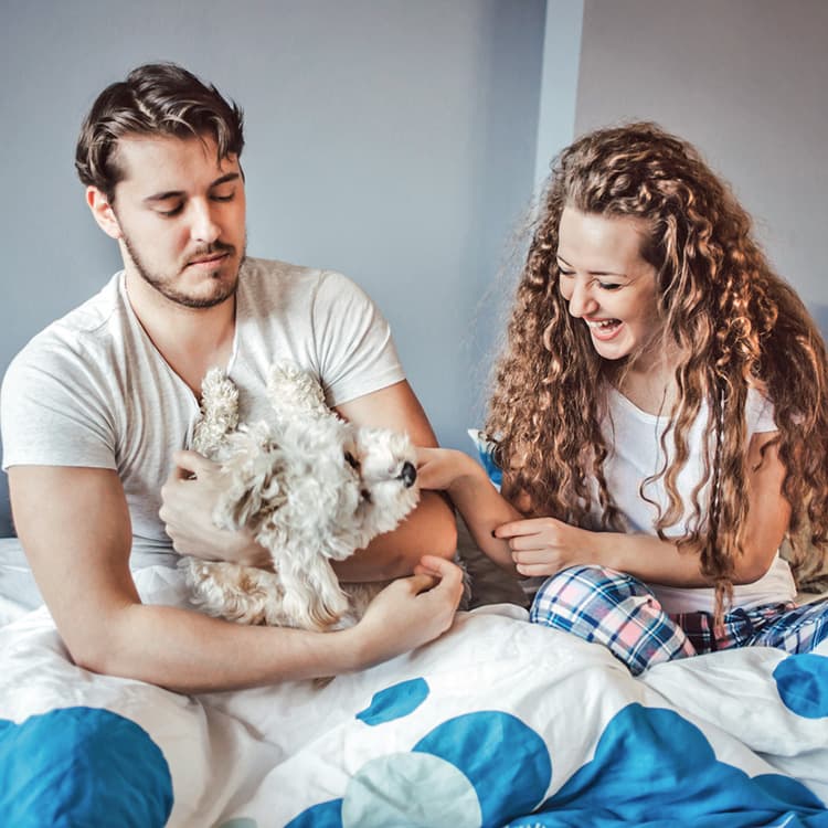 I’m Using My Dog to Get Out of Dating—Is That Bad?