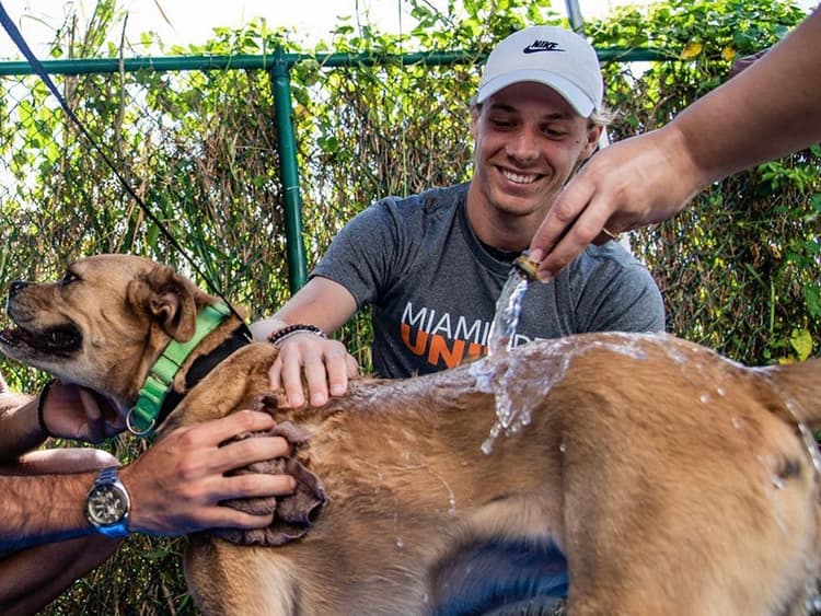 Tennis Star Denis Shapovalov Started an Animal Rescue
