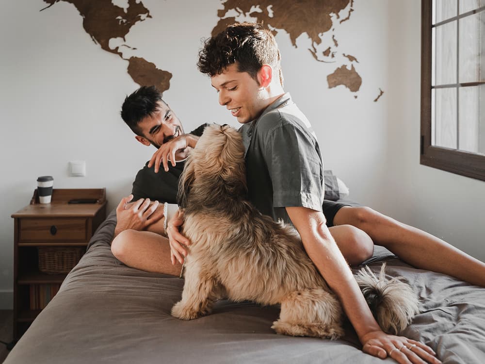 Why Do Dogs Fart? Causes and Remedies for Dog Flatulence