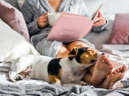 8 Reasons Why Your Dog Sleeps on the Bed by Your Feet