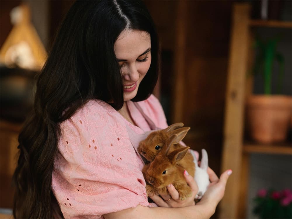 woman holding three small bunny rabbits