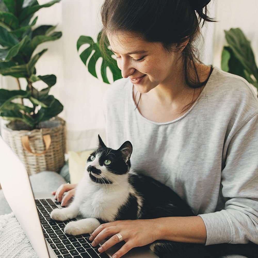How to Find a Cat to Adopt: Where to Adopt a Cat