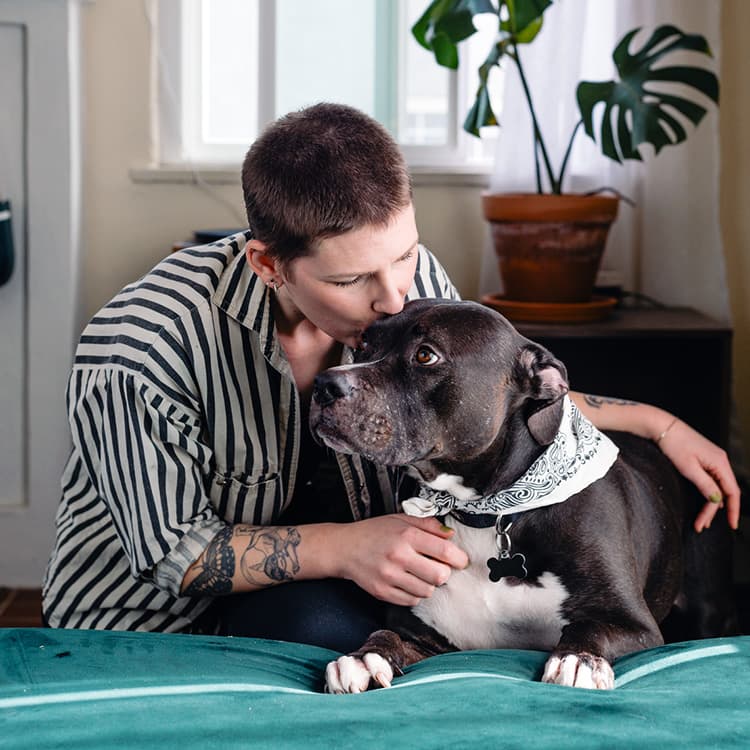 What Can I Give My Dog for an Upset Stomach?