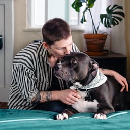 What Can I Give My Dog for an Upset Stomach?