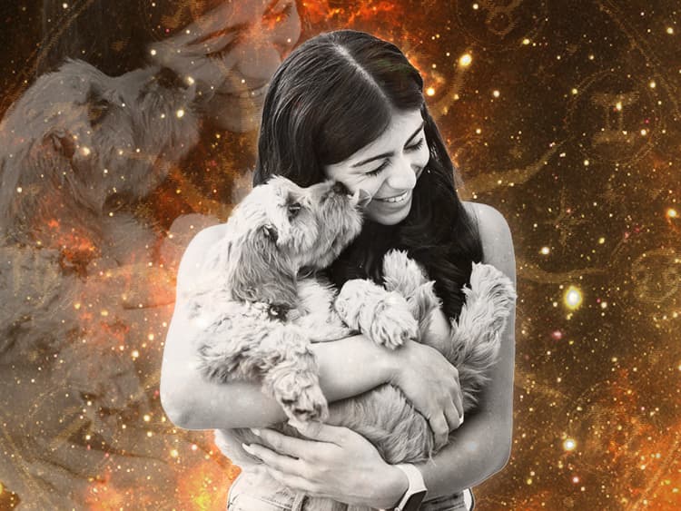 Are You and Your Dog Astrologically Compatible?