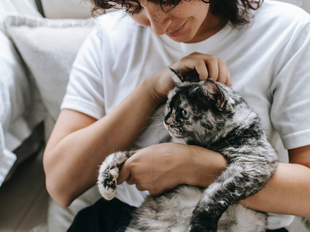 How Vets Figure Out What’s Going on With Your Pet