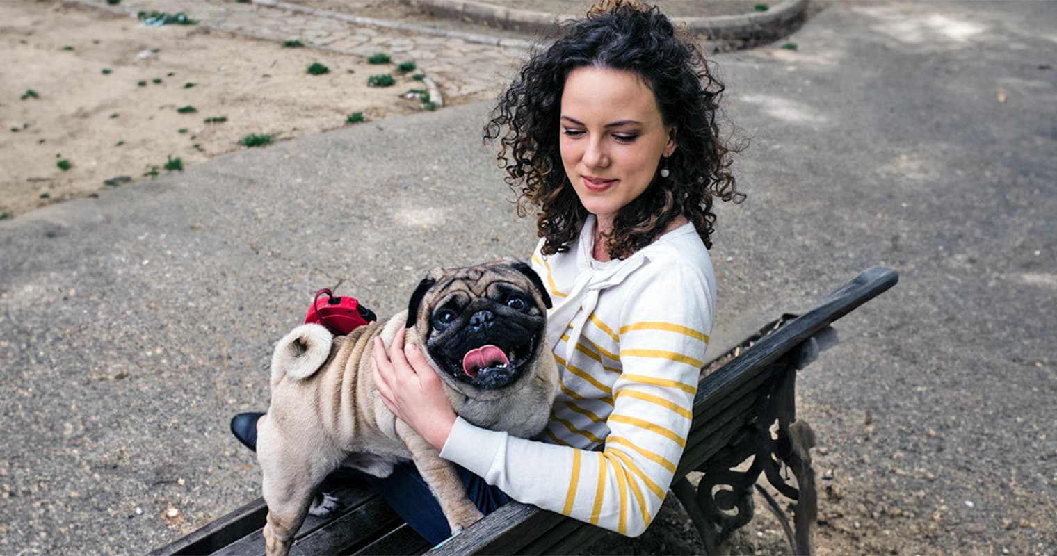 12 Flat-Faced (Brachycephalic) Dog Breeds: What You Need To Know