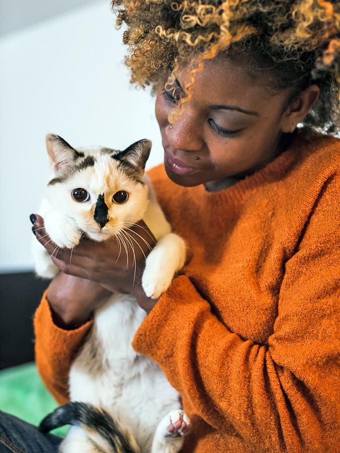 Everything You Need to Know to Keep Your Pet Safe from Bird Flu