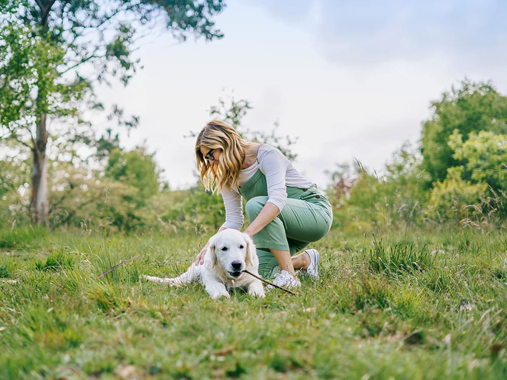 Can Dogs Get Lyme Disease? Canine Lyme Disease Symptoms, Treatment, and Prognosis