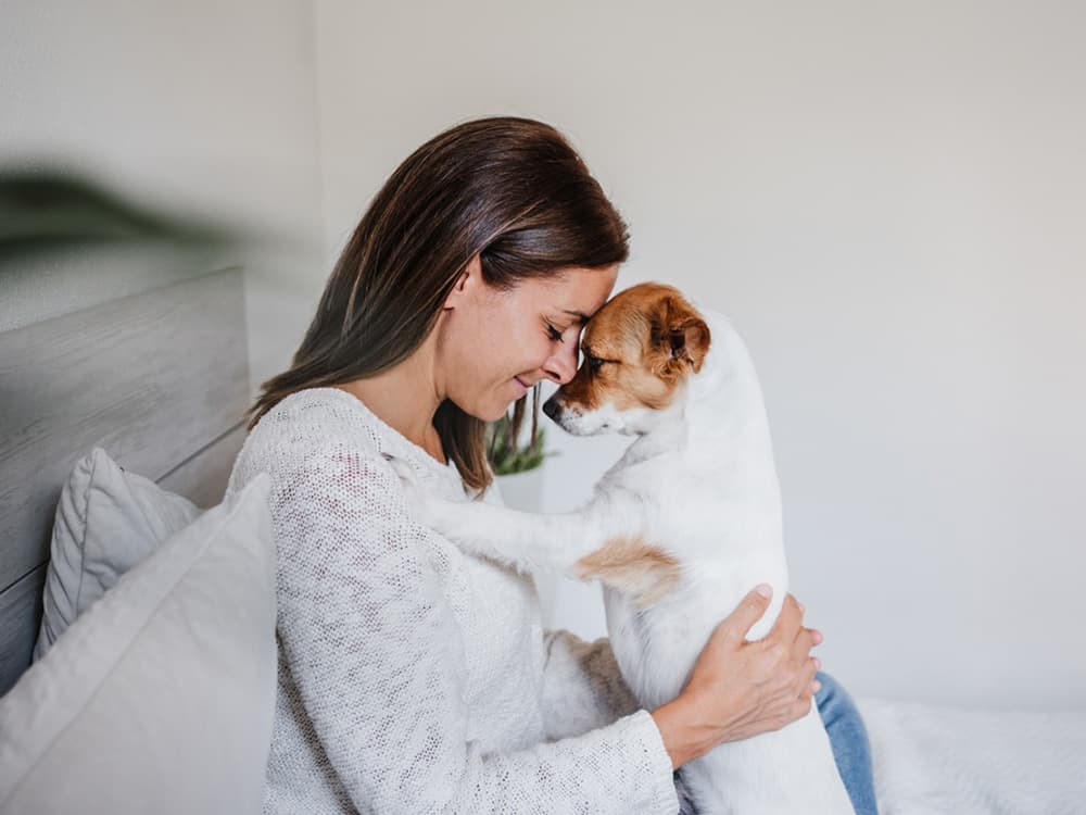 Gabapentin for Dog Seizures: Treatment, Dosage, and Side Effects
