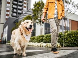 These U.S. Cities Have More People With Dogs Than Kids