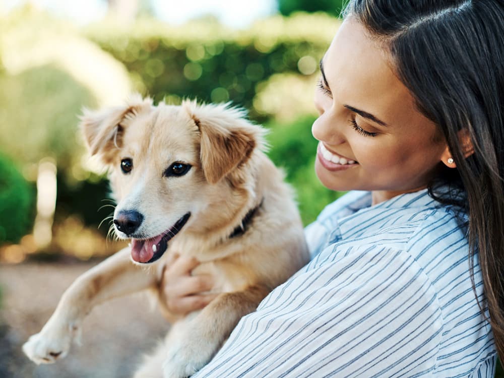 Can Puppies Have Bones?