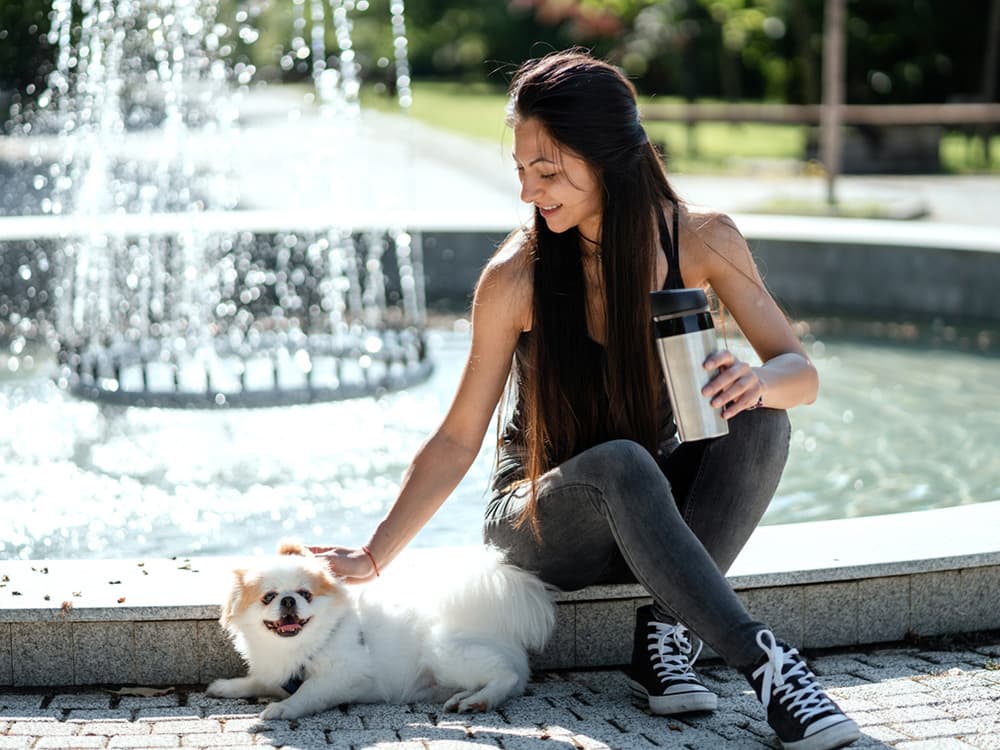 Japanese Chin near fountain