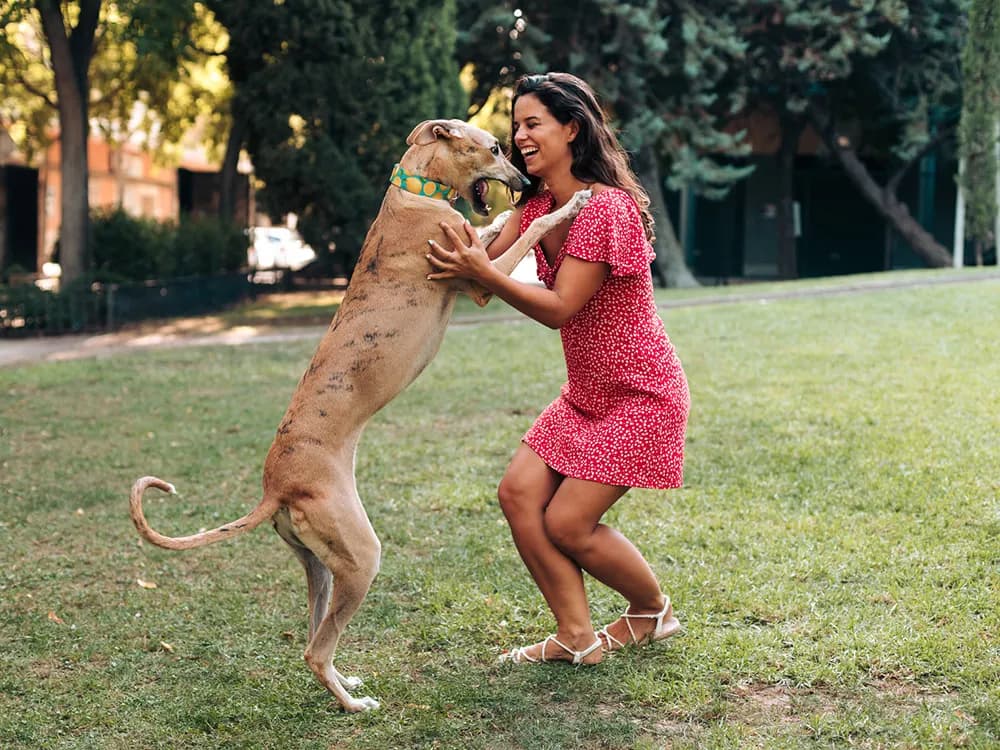 big dog and woman on dating profile