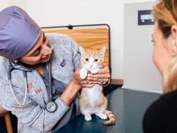 Vets Are at High Risk For Compassion Fatigue—Here Are 4 Ways You Can Help