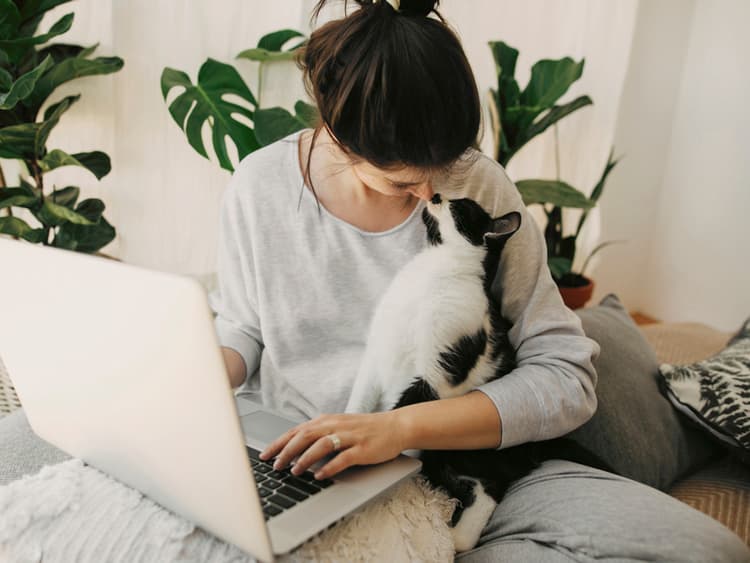 Why Does Your Cat Headbutt You? Curious Cat Behavior Explained