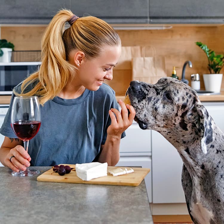 A *Business Insider* Article Says Millennials Spoil Their Pets Too Much—Experts Disagree