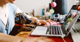 What Is The Fastest Way To Rehome A Dog?