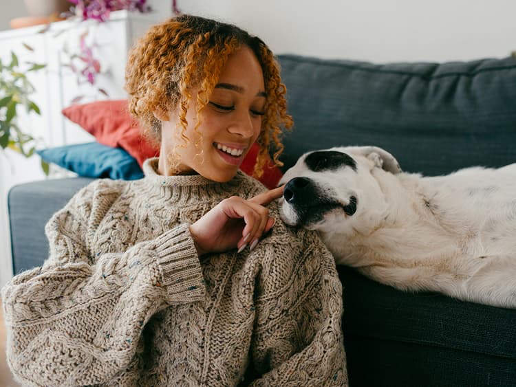 How to Welcome a Foster Dog