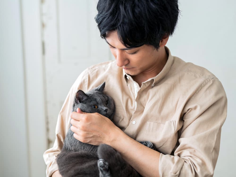 Why Does My Cat Have Bald Spots?