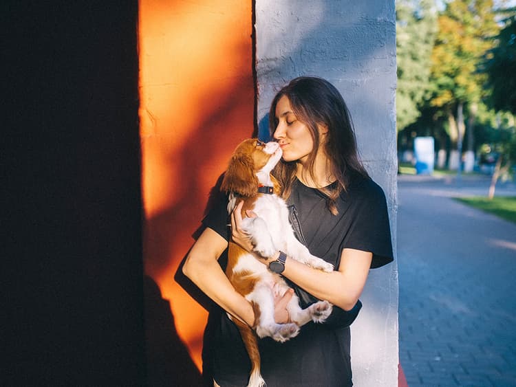 You’ve Got a Summer-Lovin’ Pup. Here’s How to Keep Them Safe