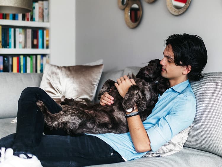 6 Ways to Keep Your Dog Safe From the Respiratory Illness Sweeping the U.S.