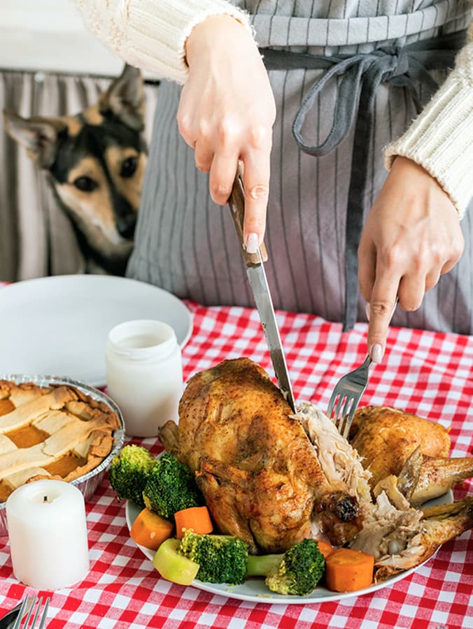 Can Dogs Eat Turkey?