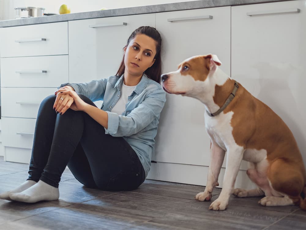 These Are Dog Parents’ Biggest Pet Peeves by State