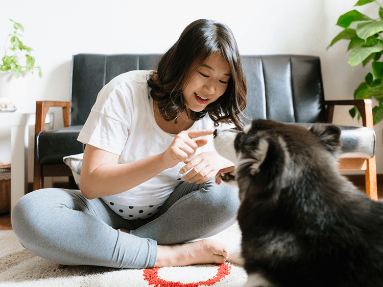 How to Prepare Your Dog for Your New Baby