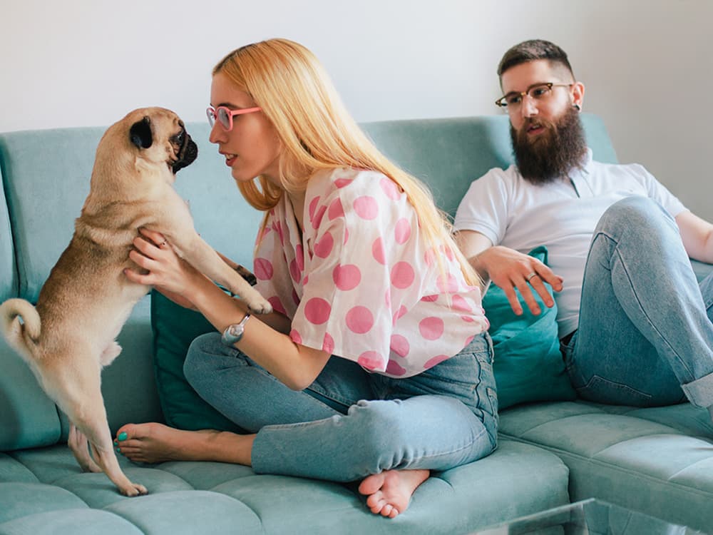 Would You Date Someone Who Didn’t Like Your Pet?