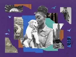 The Dog-Friendly Chicago Guide For Windy City Pooches