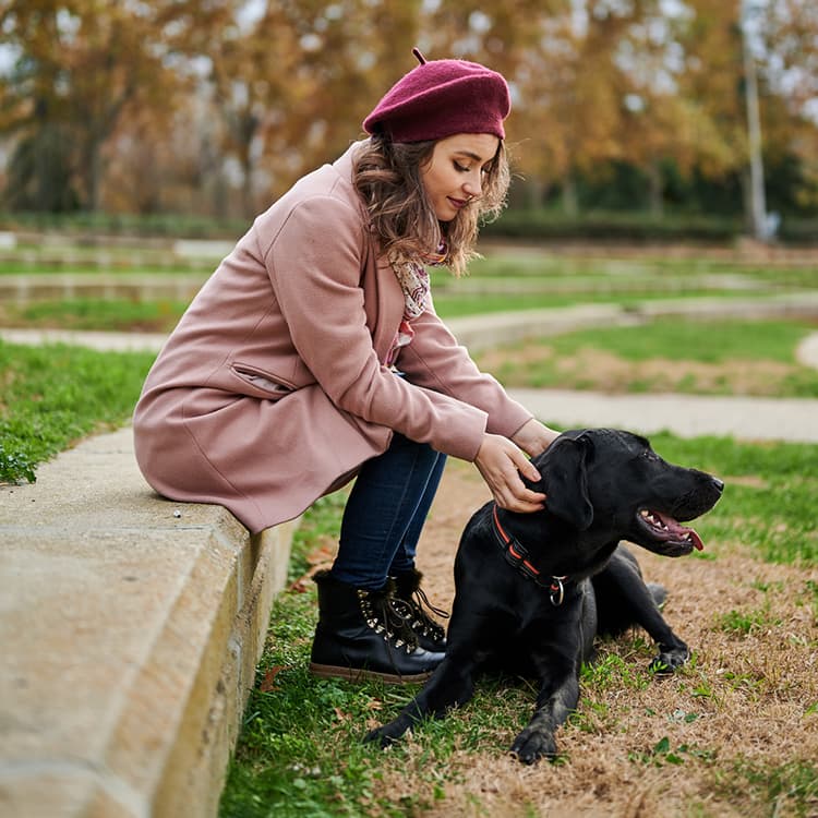 How to Interpret Your Dog’s Facial Expressions and Behavior
