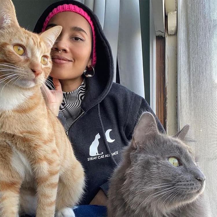 Calling All LA Cat Lovers