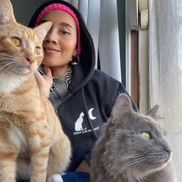 Calling All LA Cat Lovers