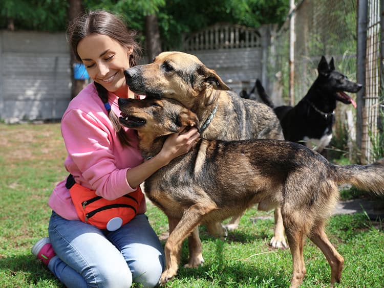How to Start an Animal Rescue