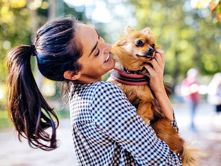 Do Dogs Actually Like Being Picked Up?