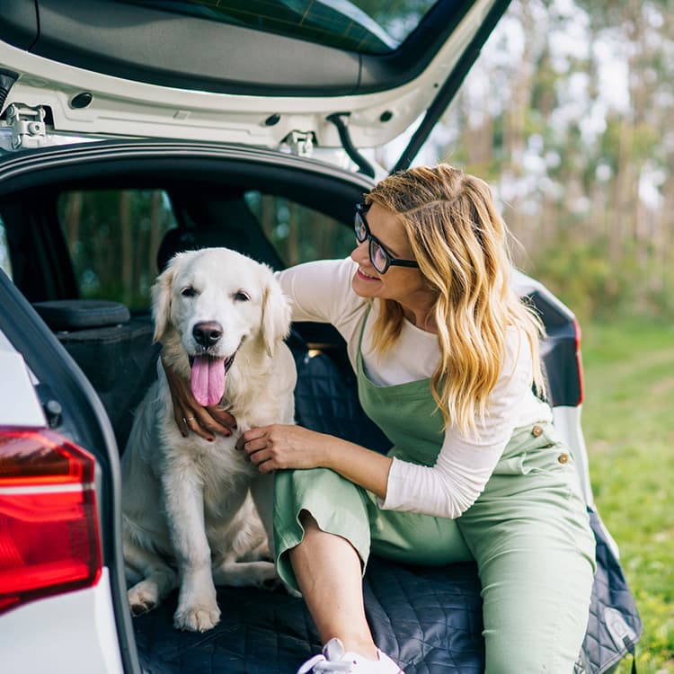 How to Make Your Dog’s Car-Crate Anxiety a Thing of the Past