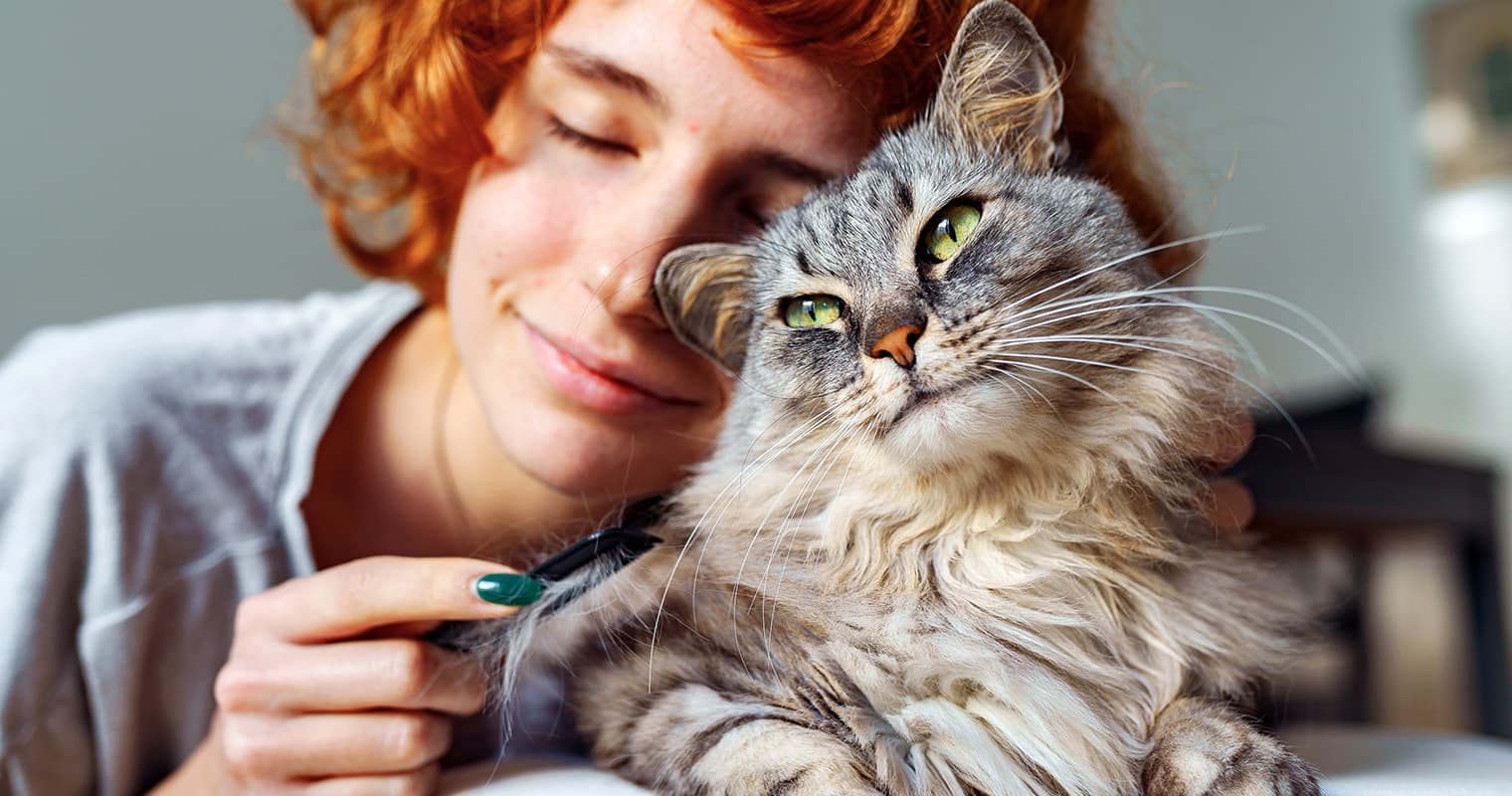 What Are Some Effective Cat Anxiety Treatments?