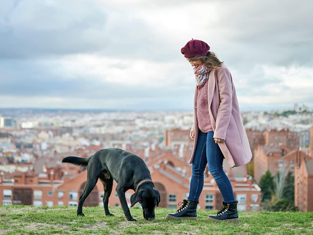 Your Dog Takes Forever to Find a Place to Poop Because of This Scientific Phenomenon