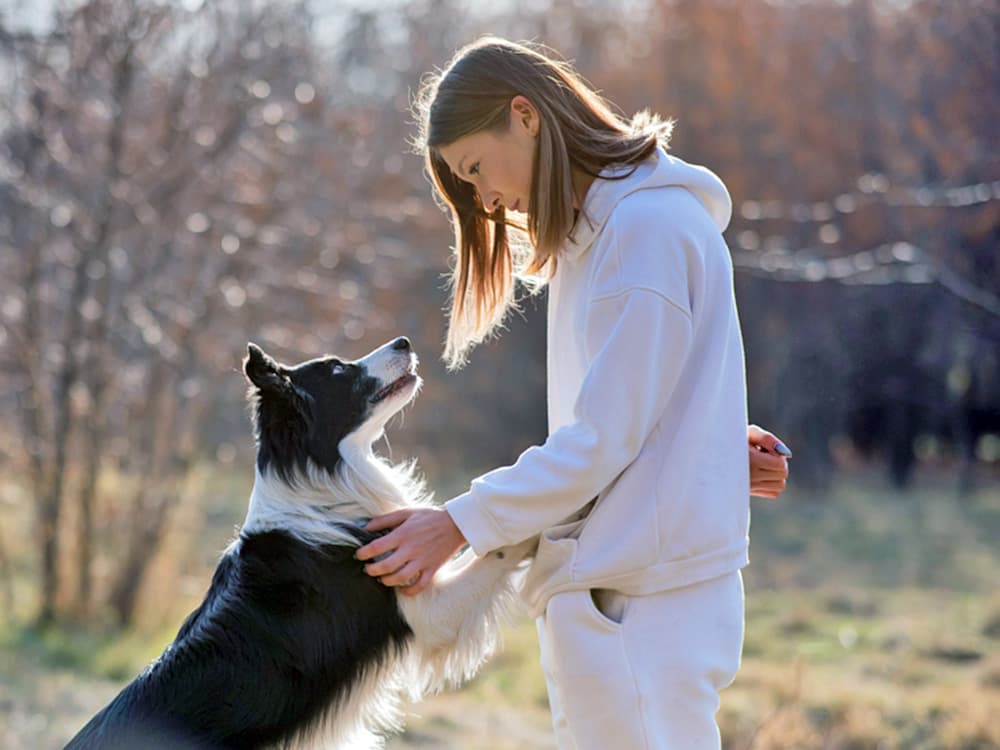 Dog Senses Stranger’s Seizure 40 Minutes Before It Occurs—How Is This Possible?