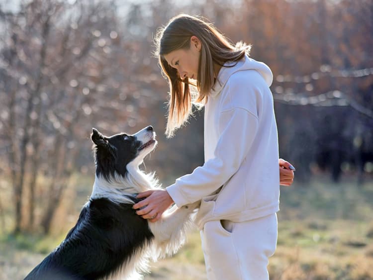 Dog Senses Stranger’s Seizure 40 Minutes Before It Occurs—How Is This Possible?