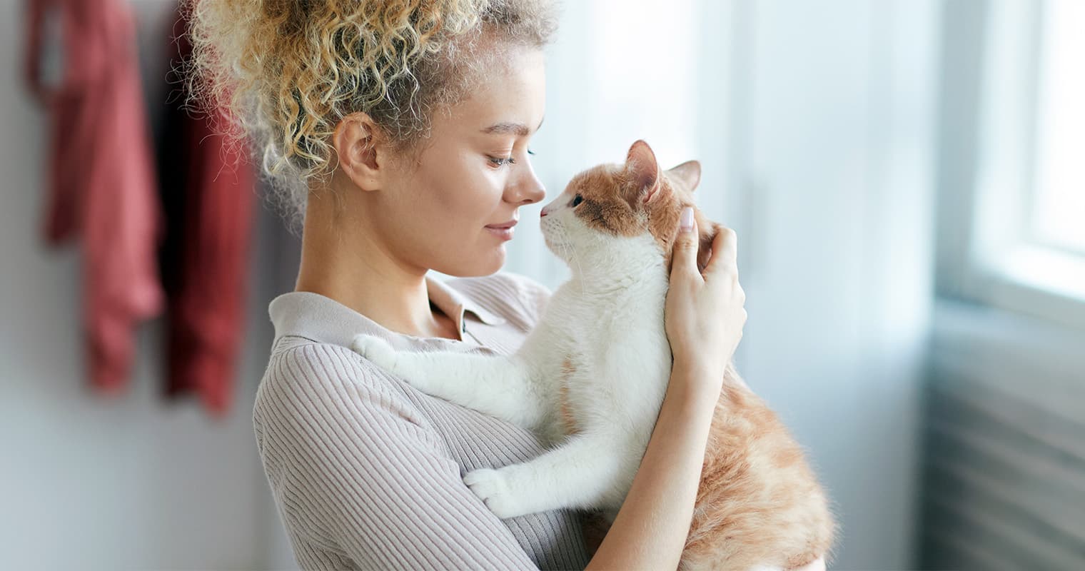 How Can You Tell If Your Cat Has Anxiety?