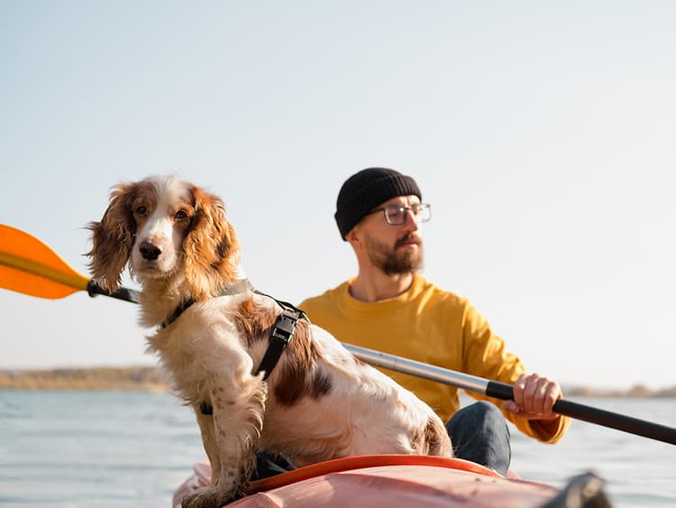 How to Safely Make Your Dog Your First Mate