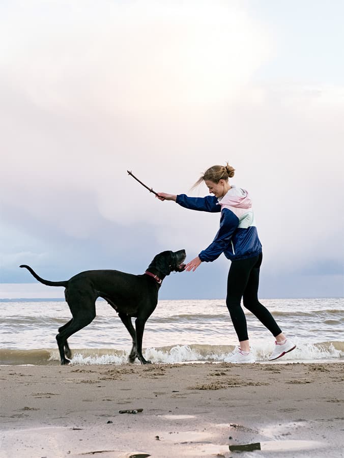 Vaccine Hesitancy Reaches the Dog World, Survey Finds